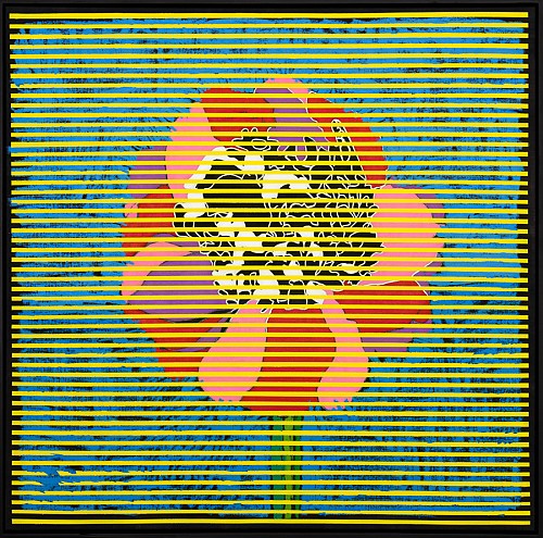 Shades, 2019