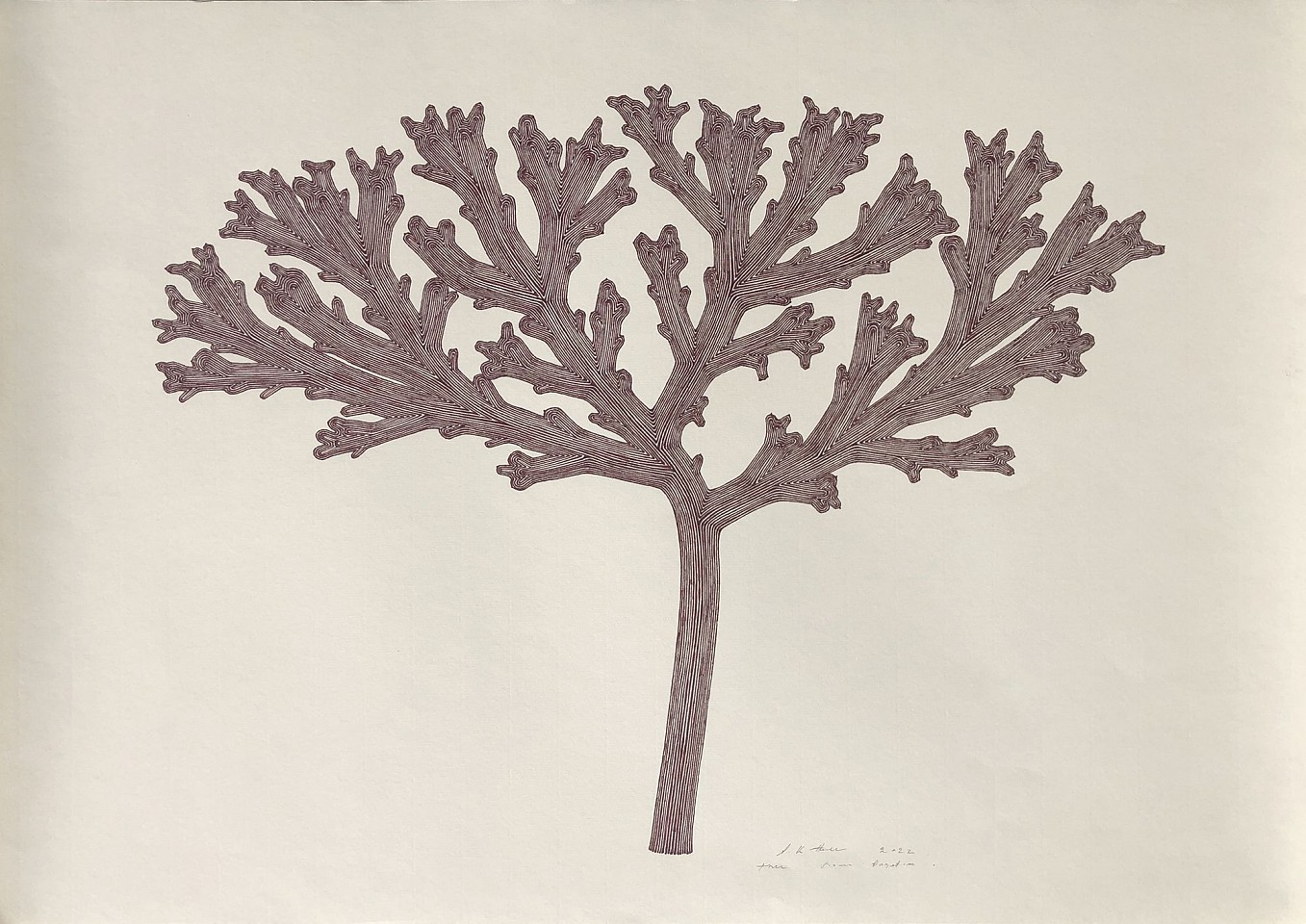 Stewart Helm, Bulb Growth, 2022
Brown ink on paper, 19.062"x 27.5"
SH-652
Price Upon Request