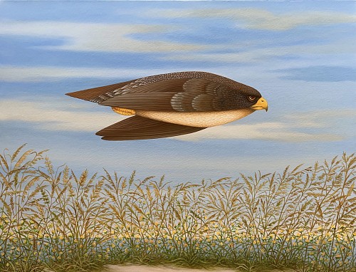 Fly Over (Land and Sea) 30x34 oil canvas 2023