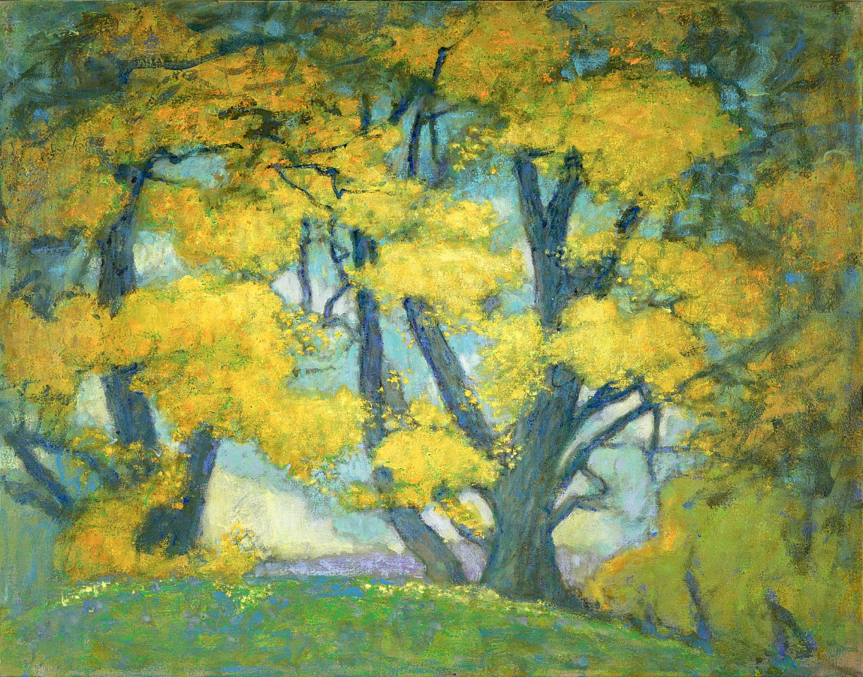 Richard Stevens, Cottonwood of the Southwest, 2024
oil on canvas, 27"x 34", 26"x 29"x 36"x 2" framed
RS 037
Price Upon Request