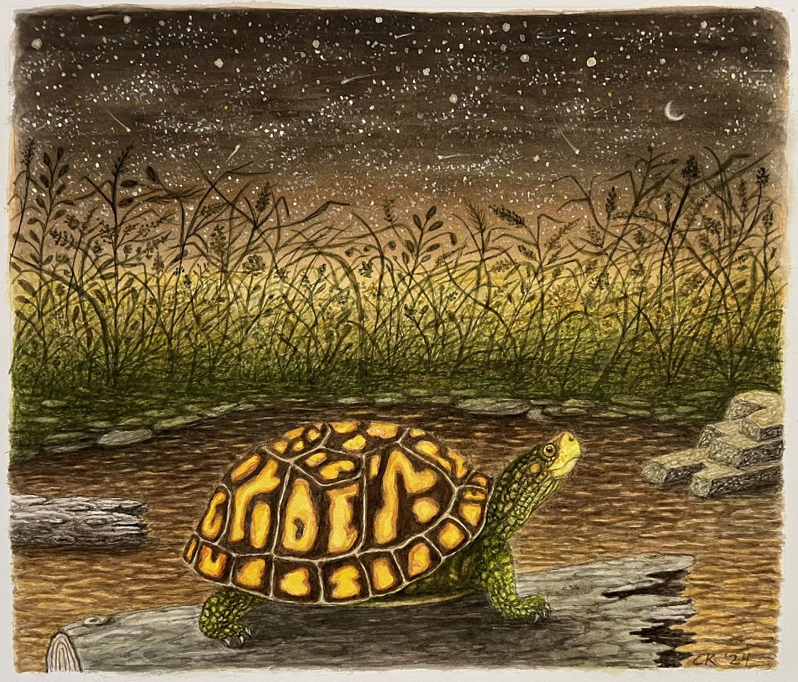 Charles Keiger, Cosmic Dust (BROWN) Turtle., 2025
13" x15" unframed
CK 705
Price Upon Request