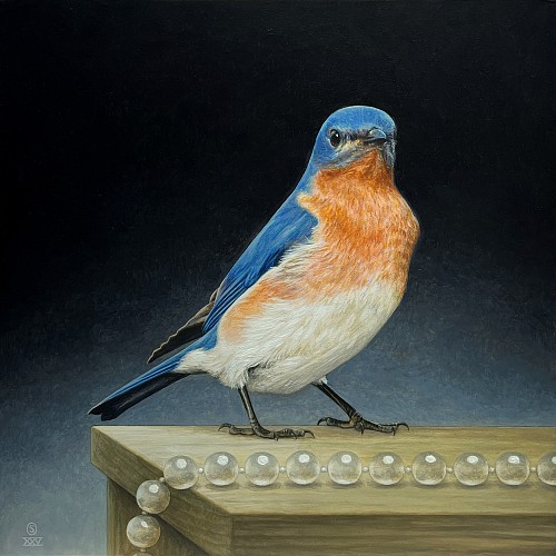 Artist: Stephen  O'Donnell