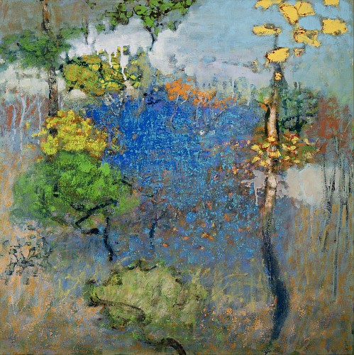 Richard Stevens -&nbsp;In The Presence of the Land, 2026