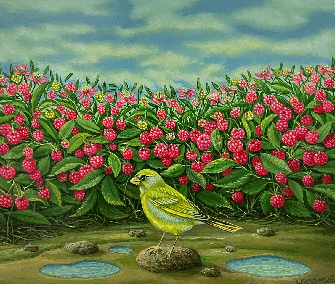 Charles Keiger, Finch with Raspberries, 2026
12" x 14", 14.5" x 16.5" framed
Oil on canvas
CK 710
Price Upon Request